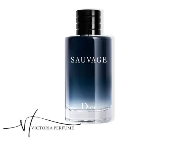 ادکلن دیور ساواج (ادوتویلت) Dior SauvageEau de Toilette