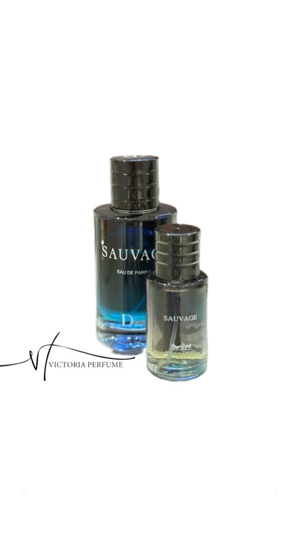 ادکلن شرکتی دیور ساواج Dior Sauvage