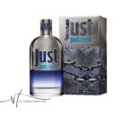 ادکلن روبرتو کاوالی جاست کاوالی مردانه Roberto Cavalli Just Cavalli Him