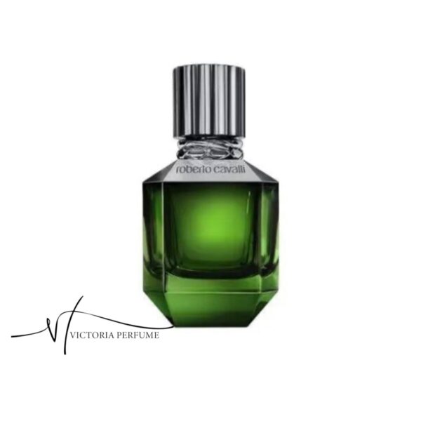 ادکلن روبرتو کاوالی پاردایس فاوند مردانه Roberto Cavalli Paradise Found For men